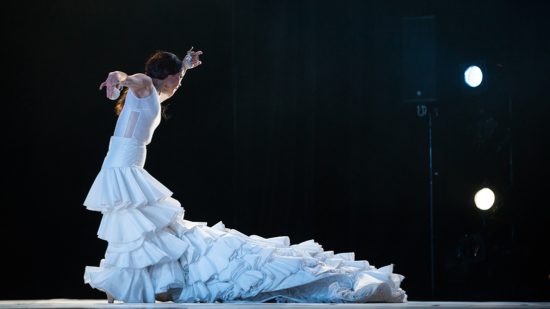 Festival Arte Flamenco | Annulation de l'édition 2020