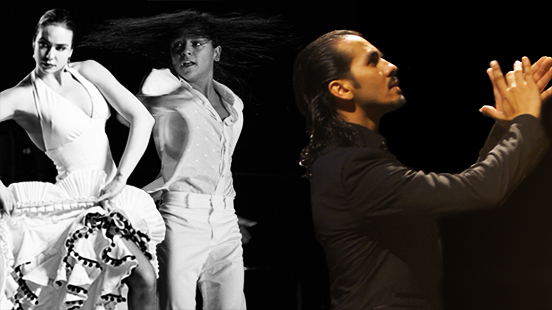26ème Festival International Arte Flamenco