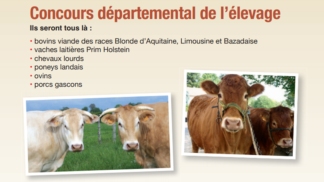 Mont-de-Marsan | La 50ème édition du concours départemental de l’élevage