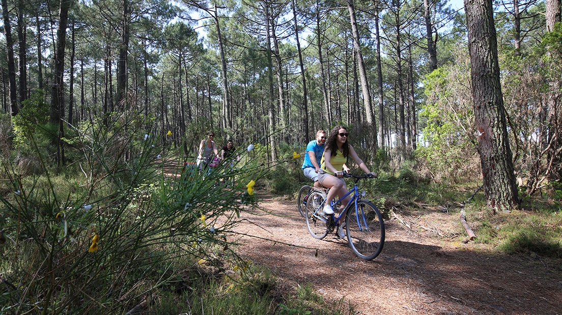 Découvrez le site rando.landes.fr